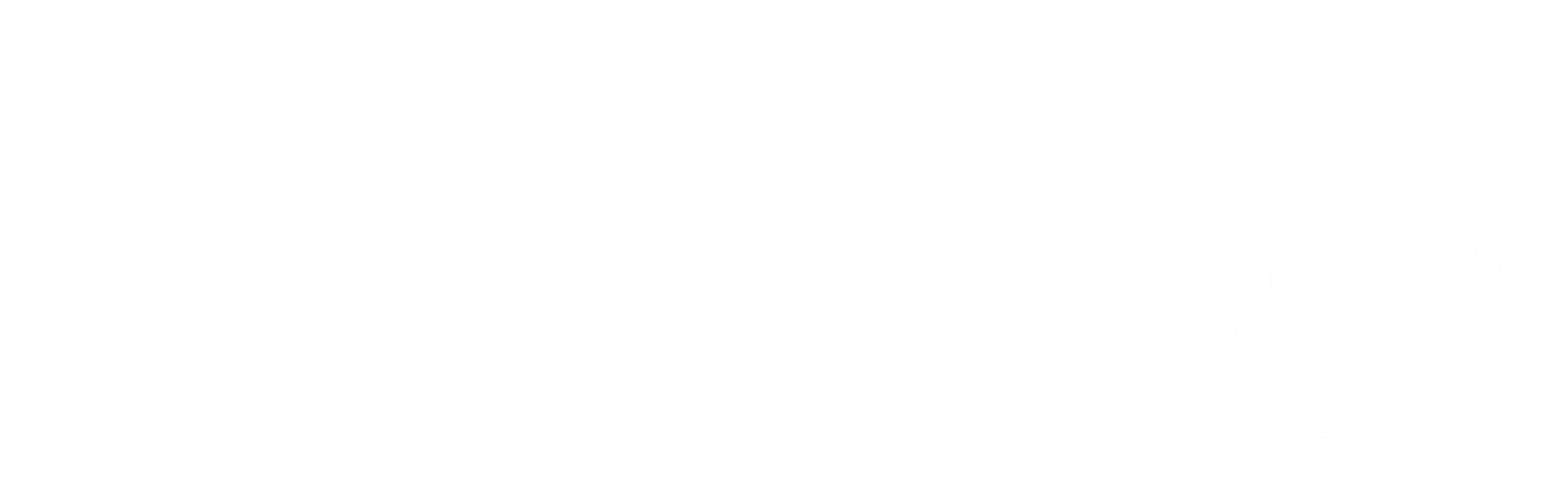 شركة الأمانة للتصدير وتعبئة وتغليف المواد الغذائية